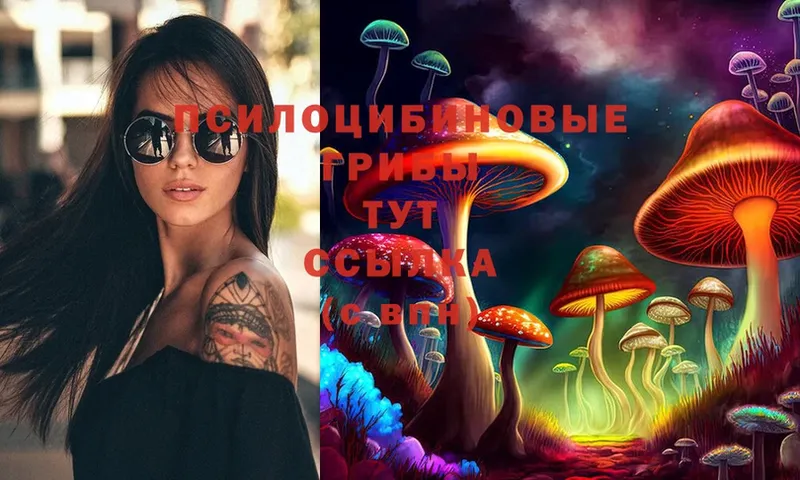 Галлюциногенные грибы MAGIC MUSHROOMS  Железноводск 